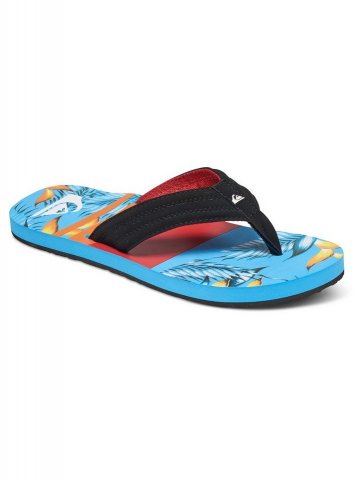 Quiksilver Slippers »Basis«