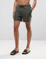 Hollister Guard Swim Shorts Solid Seagull Logo in Green